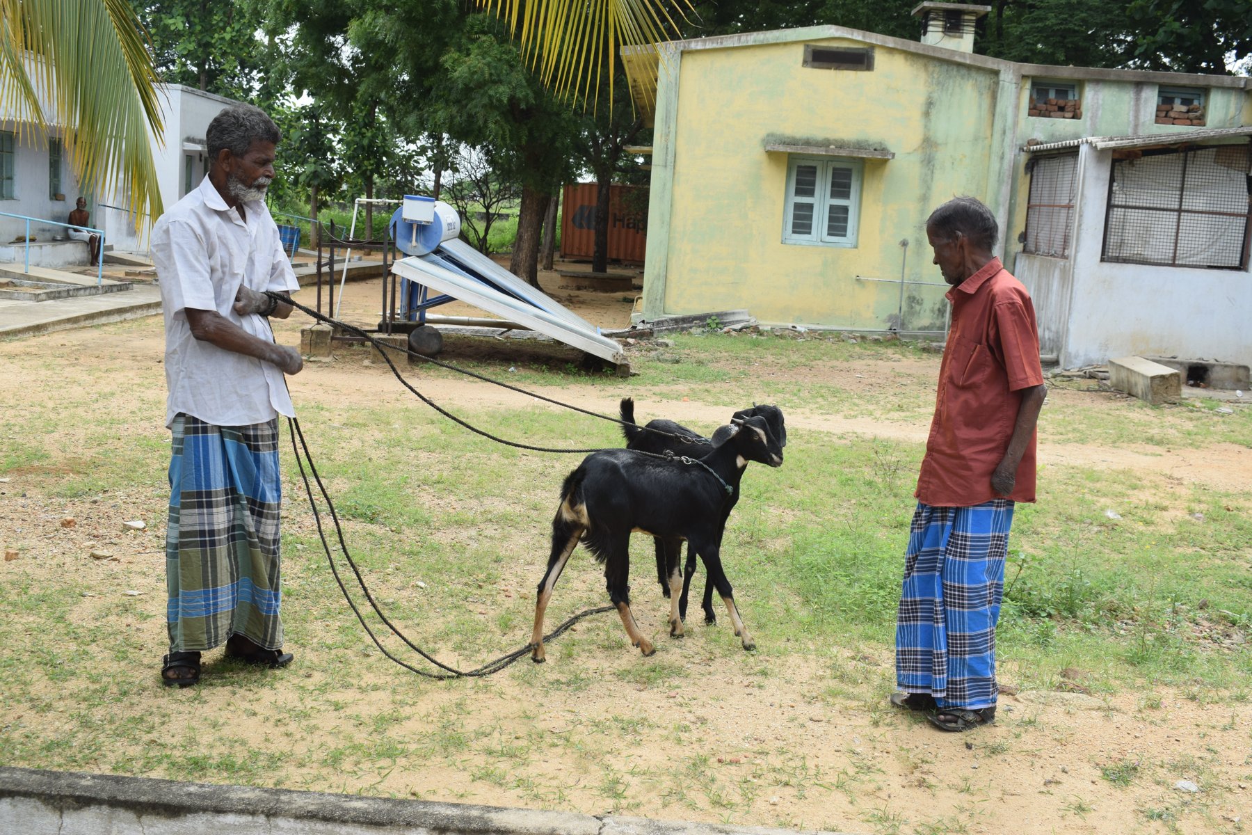 From the Shanthigramam community photo archive, photograph 4